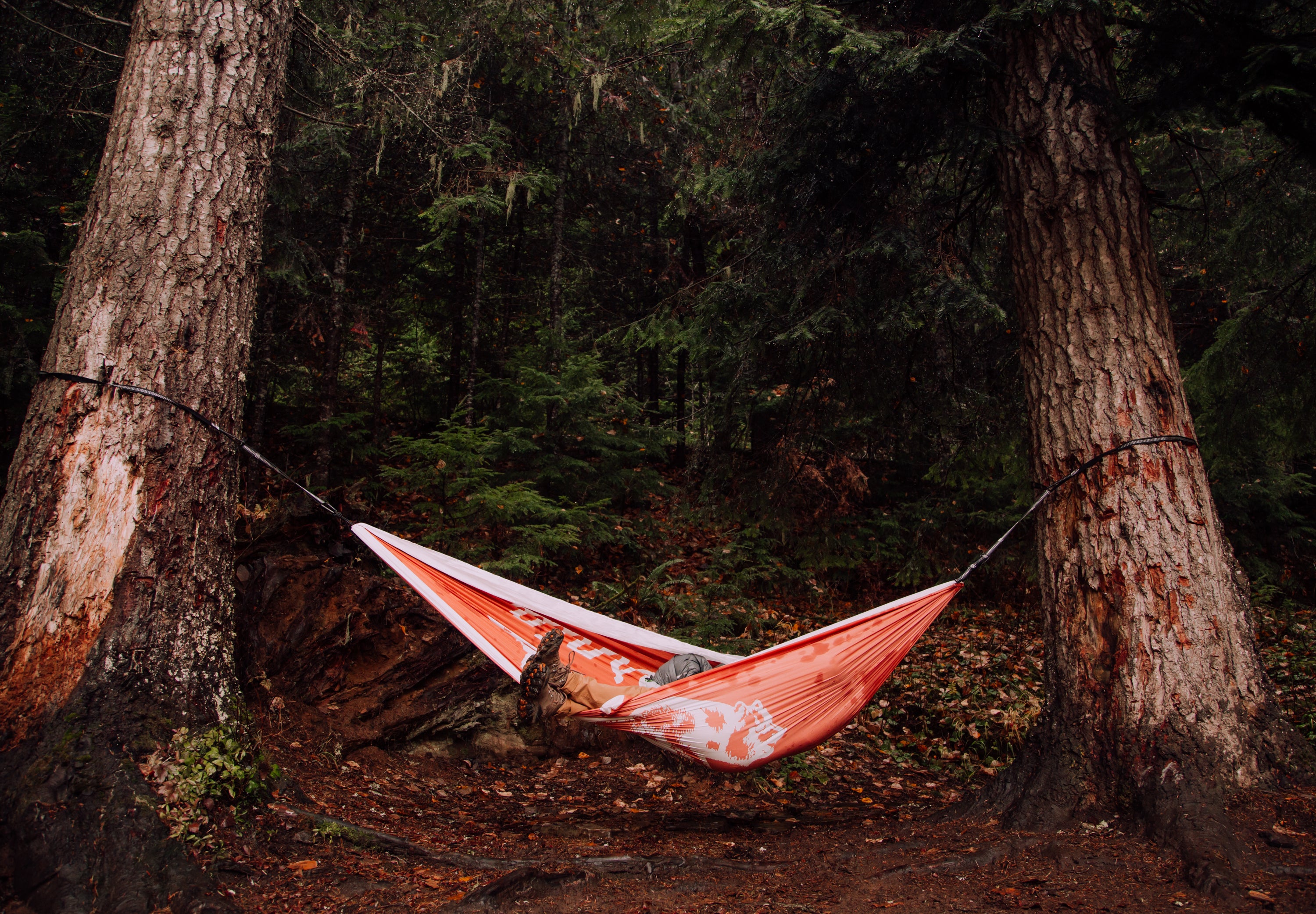 Camping Hammock