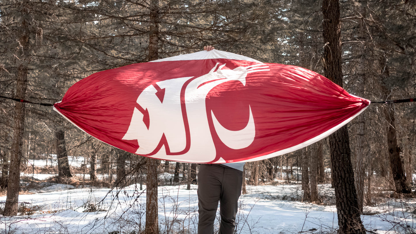 Washington State University Double Hammock